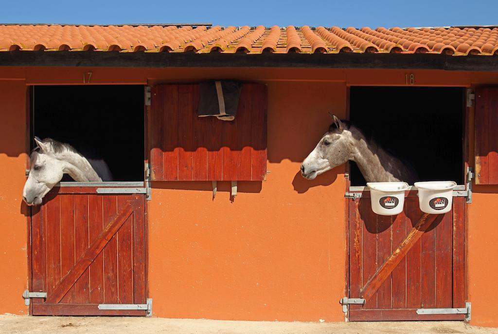 Quinta Da Bicuda Villa Кашкайш Екстериор снимка